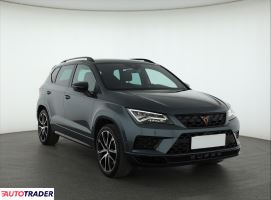 Cupra  - zobacz ofertę