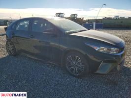 Kia Pozostałe 2024 2