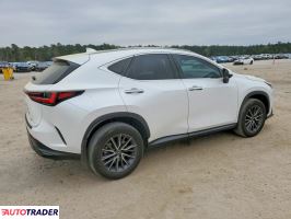 Lexus NX 2023 2