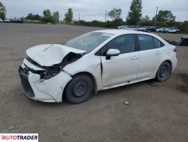 Toyota Corolla 2020 1