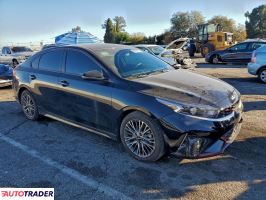 Kia Pozostałe 2024 2