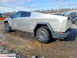 Tesla Pozostałe 2025