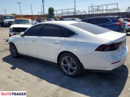 Honda Accord 2024 1