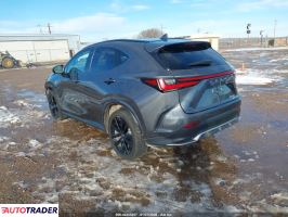Lexus NX 2024 2