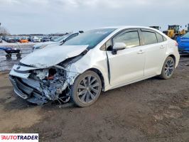 Toyota Corolla - zobacz ofertę