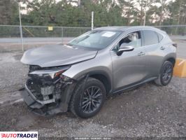 Lexus NX 2024 2