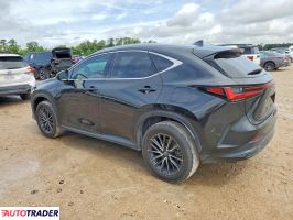 Lexus NX 2024 2