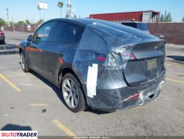 Tesla Model Y 2021 Tesla Model Y 2021