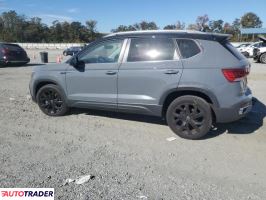 Volkswagen Pozostałe 2024 1