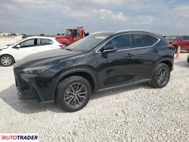 Lexus NX 2022 2