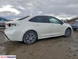 Toyota Corolla 2020 1