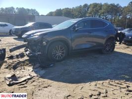 Lexus NX 2024 2
