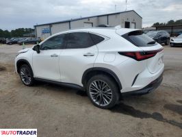 Lexus NX 2022 2 Lexus NX 2022 2