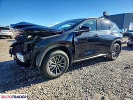 Lexus NX 2025 2