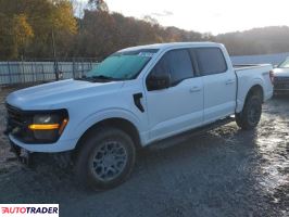 Ford Pozostałe 2024 5