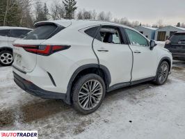Lexus NX 2022 2