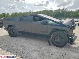 Tesla Pozostałe 2025