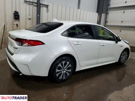 Toyota Corolla 2020 1