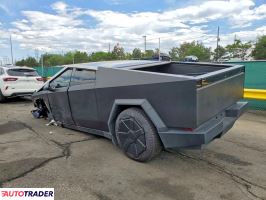 Tesla Pozostałe 2024