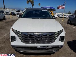 Hyundai Tucson 2024 1