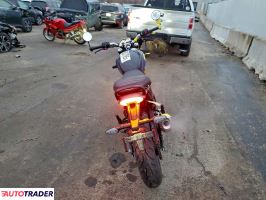 Triumph Pozostałe 2024