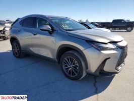 Lexus NX 2024 2