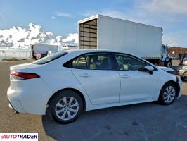 Toyota Corolla 2020 1