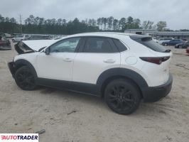 Mazda CX-30 2021 2 Mazda CX-30 2021 2