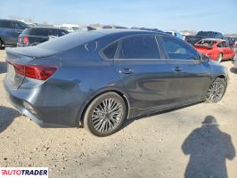 Kia Pozostałe 2024 2