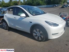 Tesla Model Y 2020