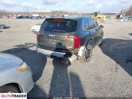 Kia Pozostałe 2024 3