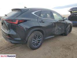 Lexus NX 2024 2
