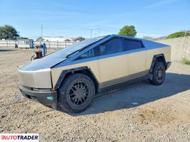 Tesla Pozostałe 2024