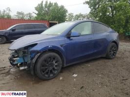 Tesla Model Y 2021 Tesla Model Y 2021