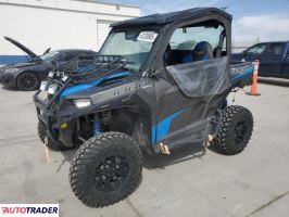 Polaris Pozostałe 2019