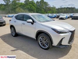 Lexus NX 2022 2