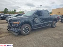 Ford Pozostałe 2024 3