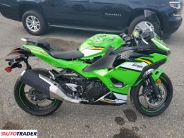 Kawasaki Pozostałe - zobacz ofertę