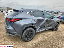 Lexus NX 2024 2