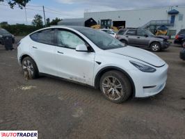 Tesla Model Y 2020