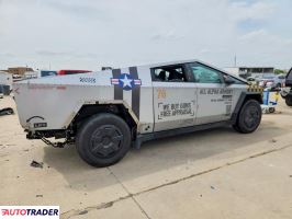 Tesla Pozostałe 2024