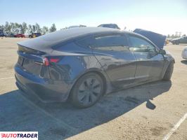 Tesla Model 3 2025