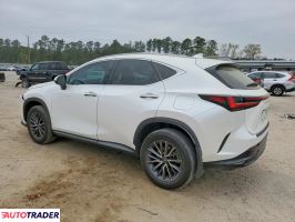 Lexus NX 2023 2