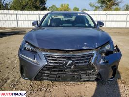 Lexus NX 2021 2