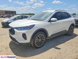 Ford Escape - zobacz ofertę