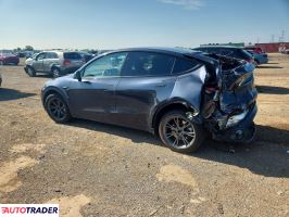 Tesla Model Y 2025