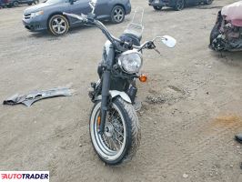 Kawasaki Vulcan 2022