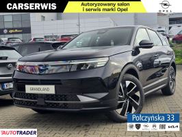 Opel Grandland X - zobacz ofertę