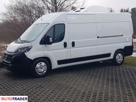 Fiat Ducato - zobacz ofertę