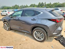 Lexus NX 2025 2